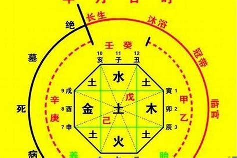 龍德八字|八字神煞 龙德 (八字里龙德星是什么意思)